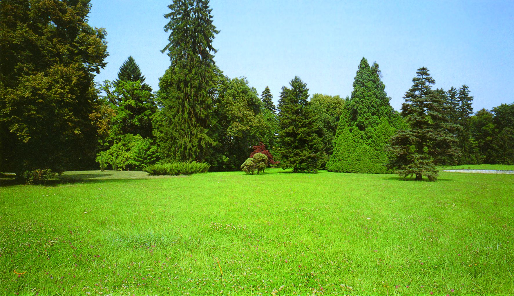 <p>arboretum Opeka</p>