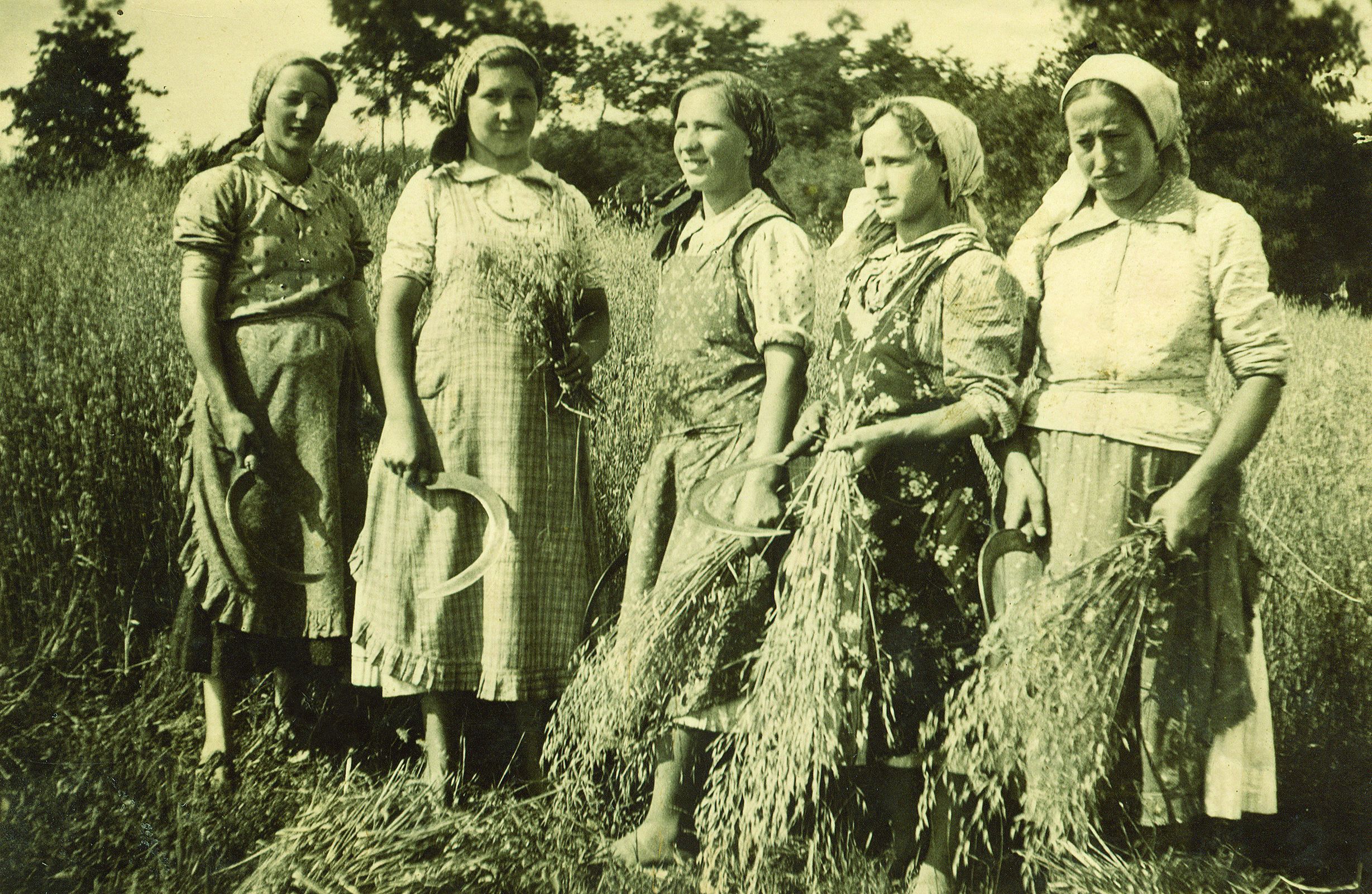 <p>žetelice, stubički kraj</p>