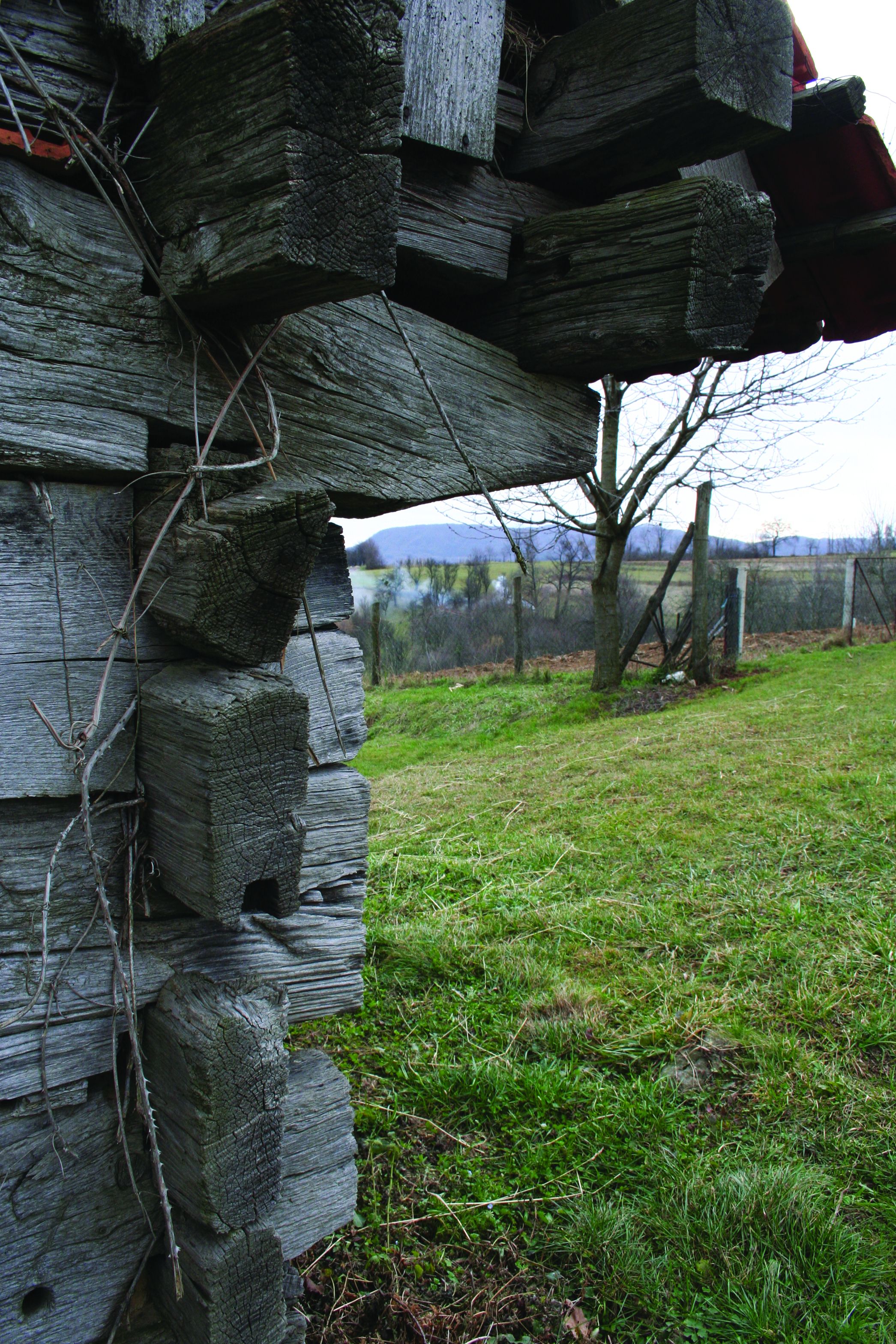 <p><em>hrva&scaron;ki vugel</em></p>