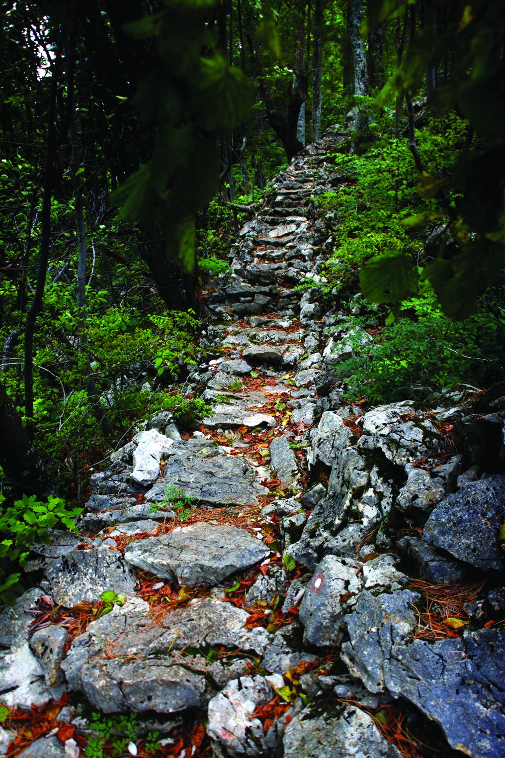 <p>Horvatove stube na Medvednici</p>