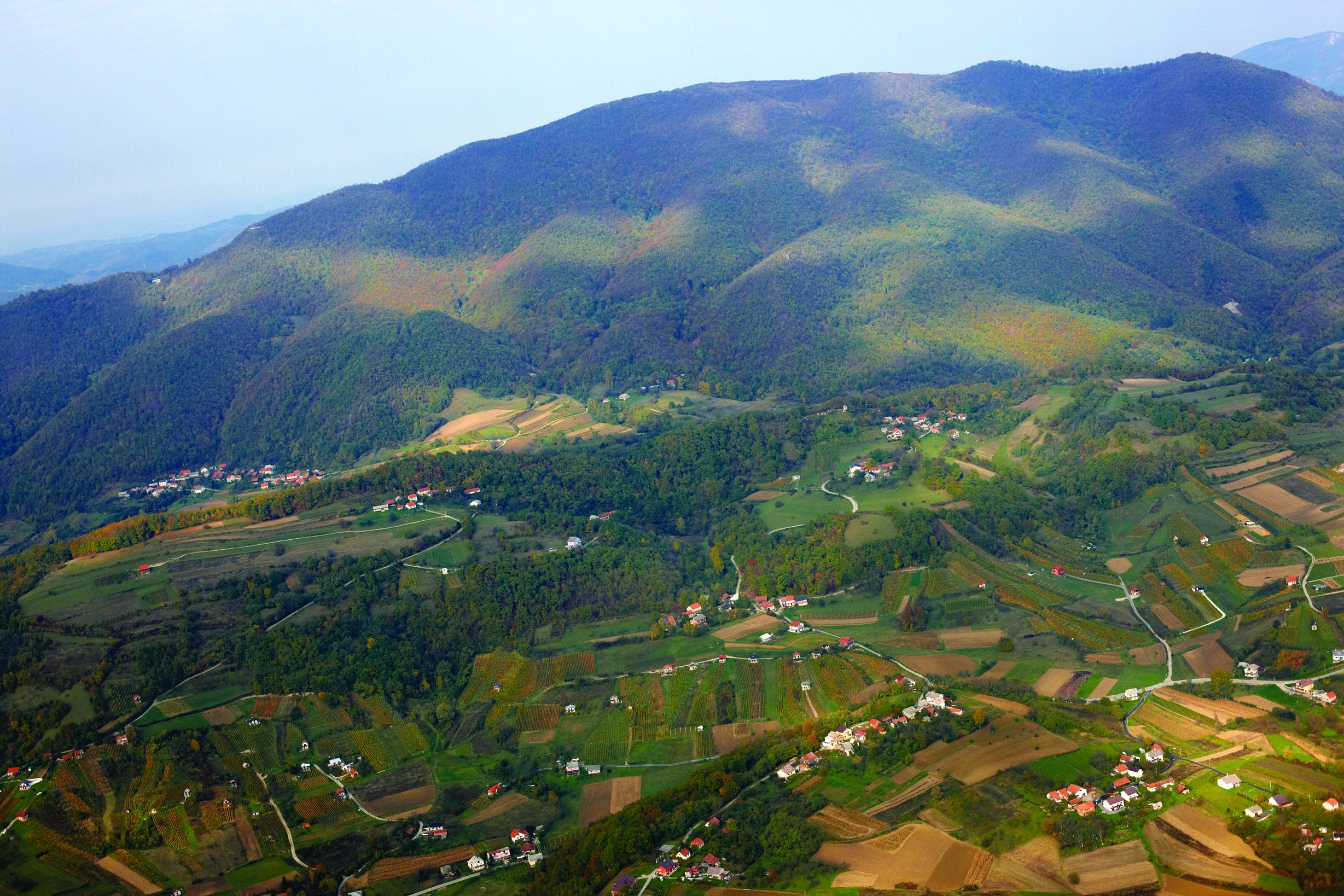 <p>Ivan&scaron;čica</p>