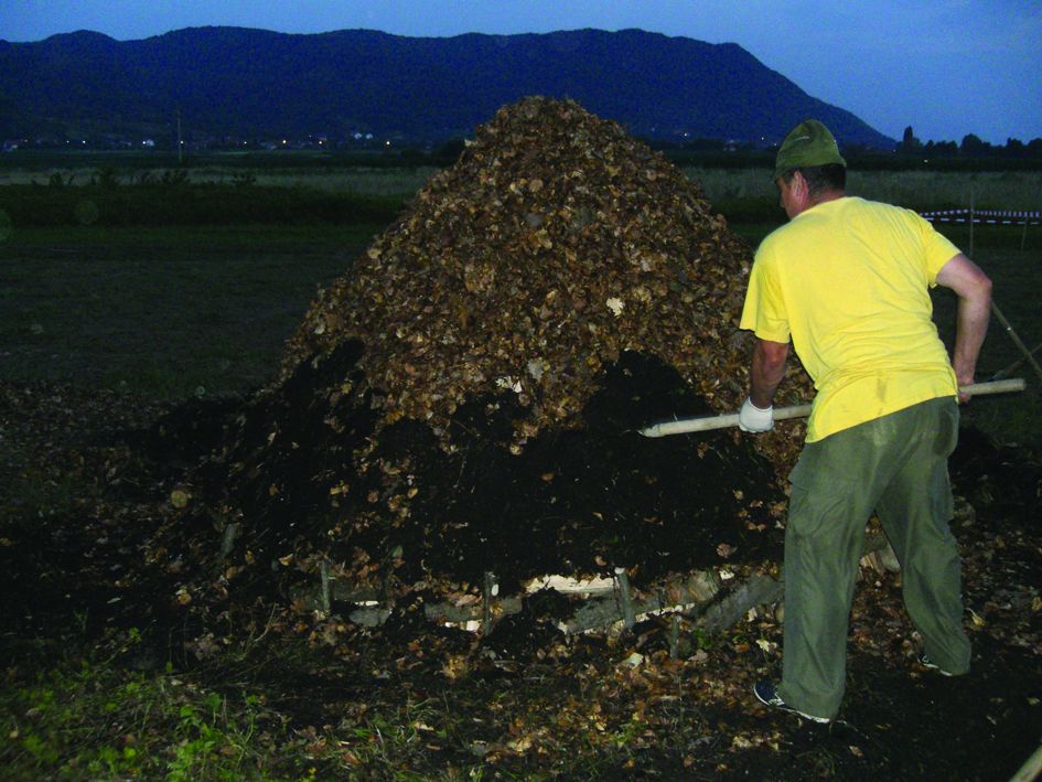 <p><em>vuglenarenje</em></p>