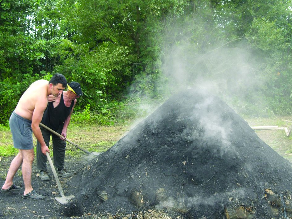 <p><em>vuglenarenje</em></p>