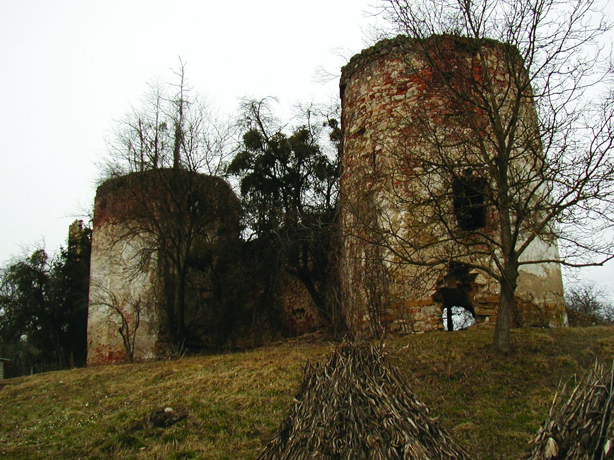 <p>ru&scaron;evine dvorca Bisaga</p>