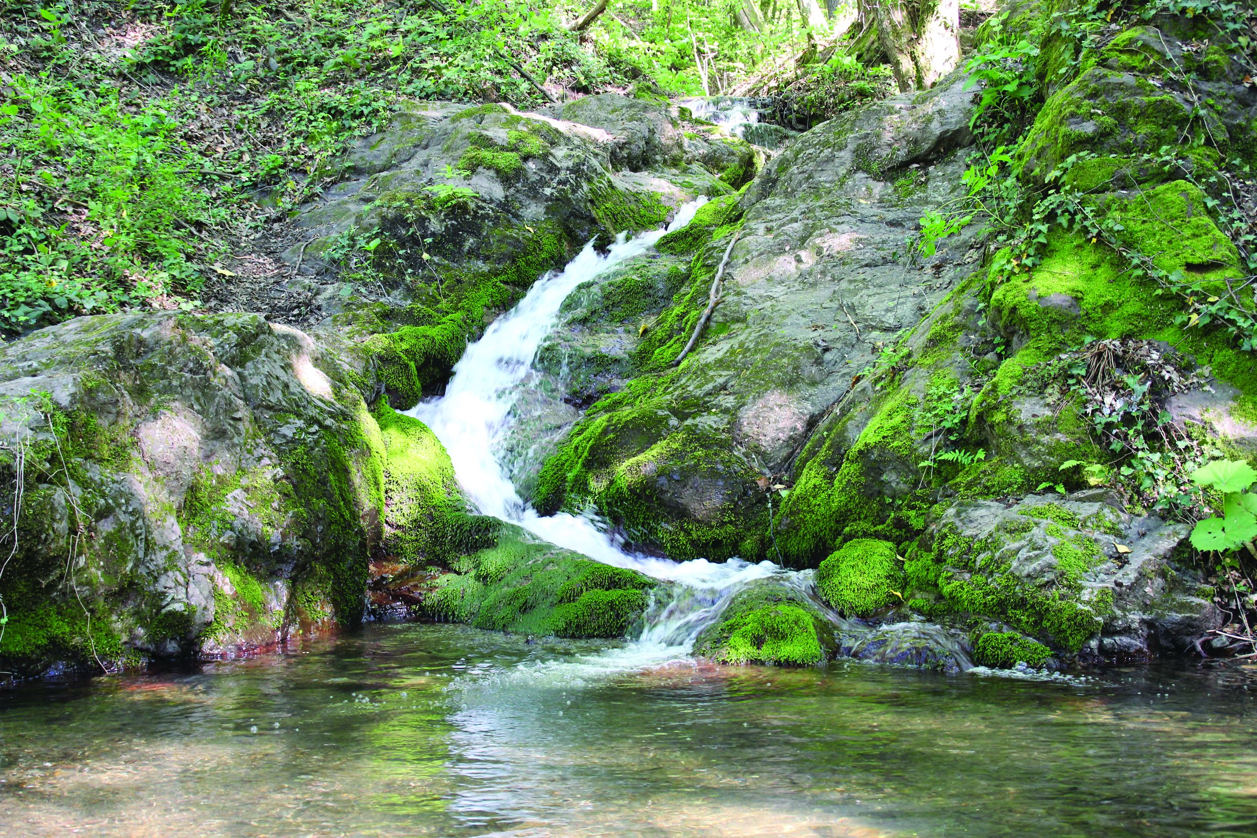 <p>izvori&scaron;ni krak potoka Bistre na Medvednici</p>