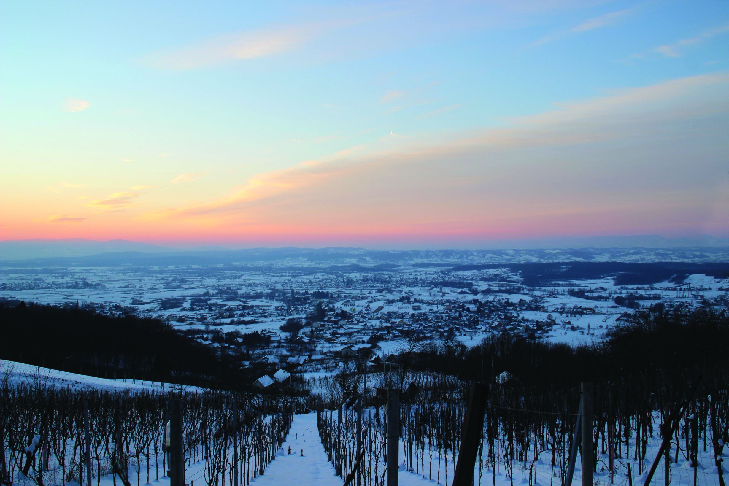 <p>Poljanica Bistranska</p>