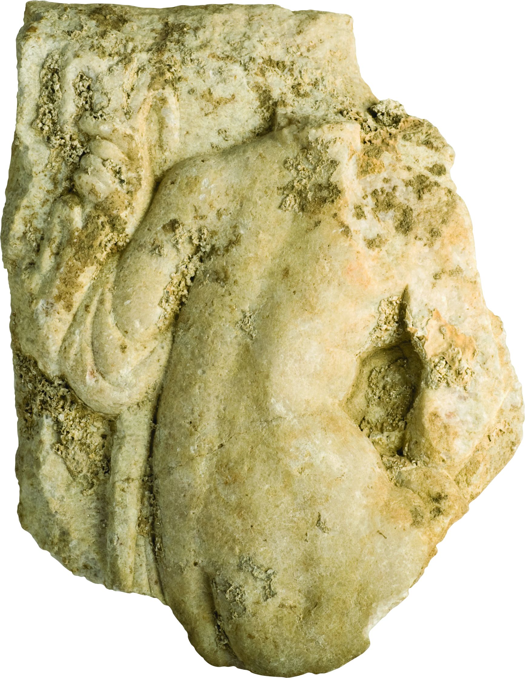 <p>dio reljefa s prikazom leđa nimfe, II. st., Aquae Iasae</p>