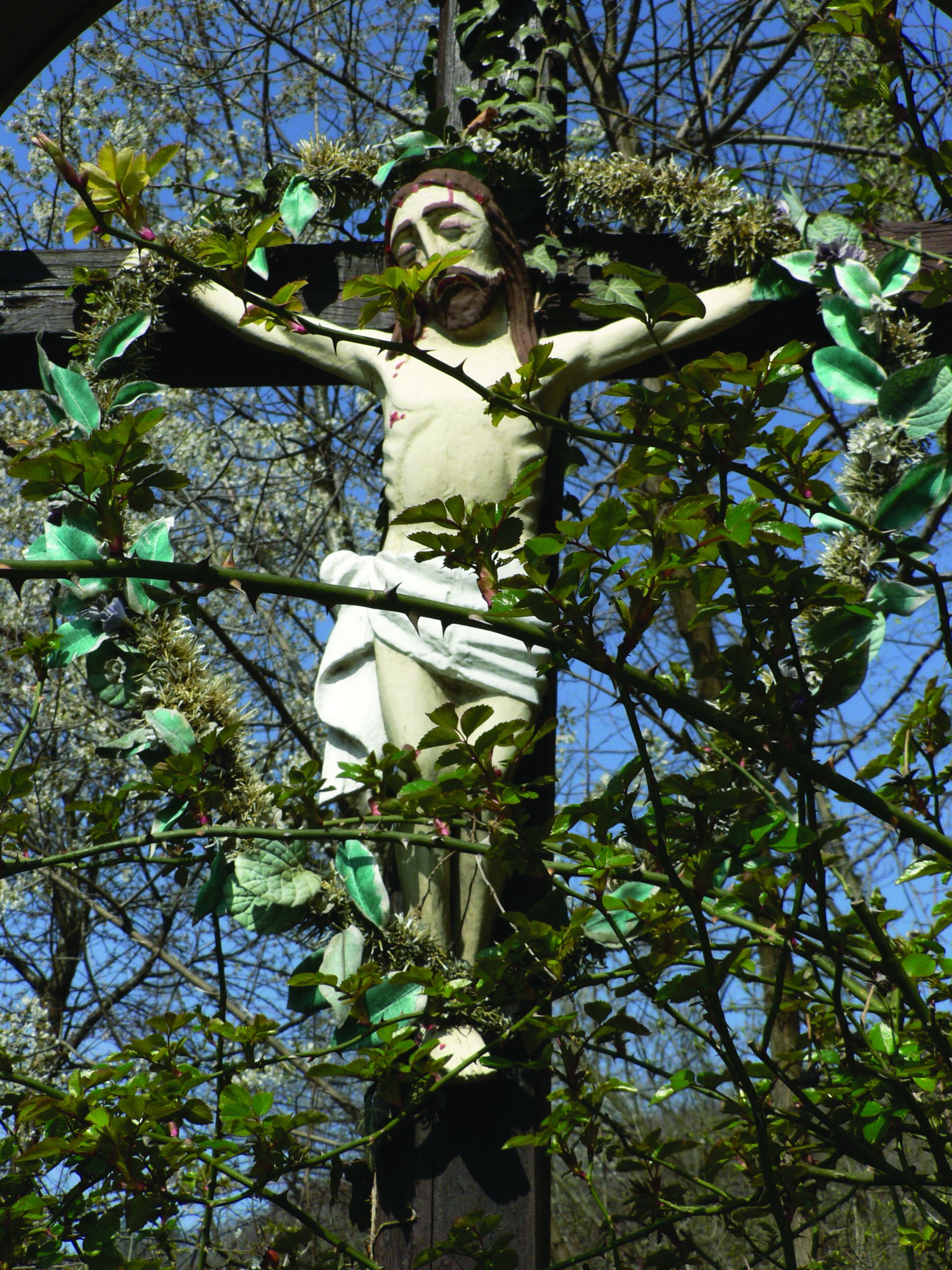 <p>raspelo, XX. st., podno Cesargrada</p>