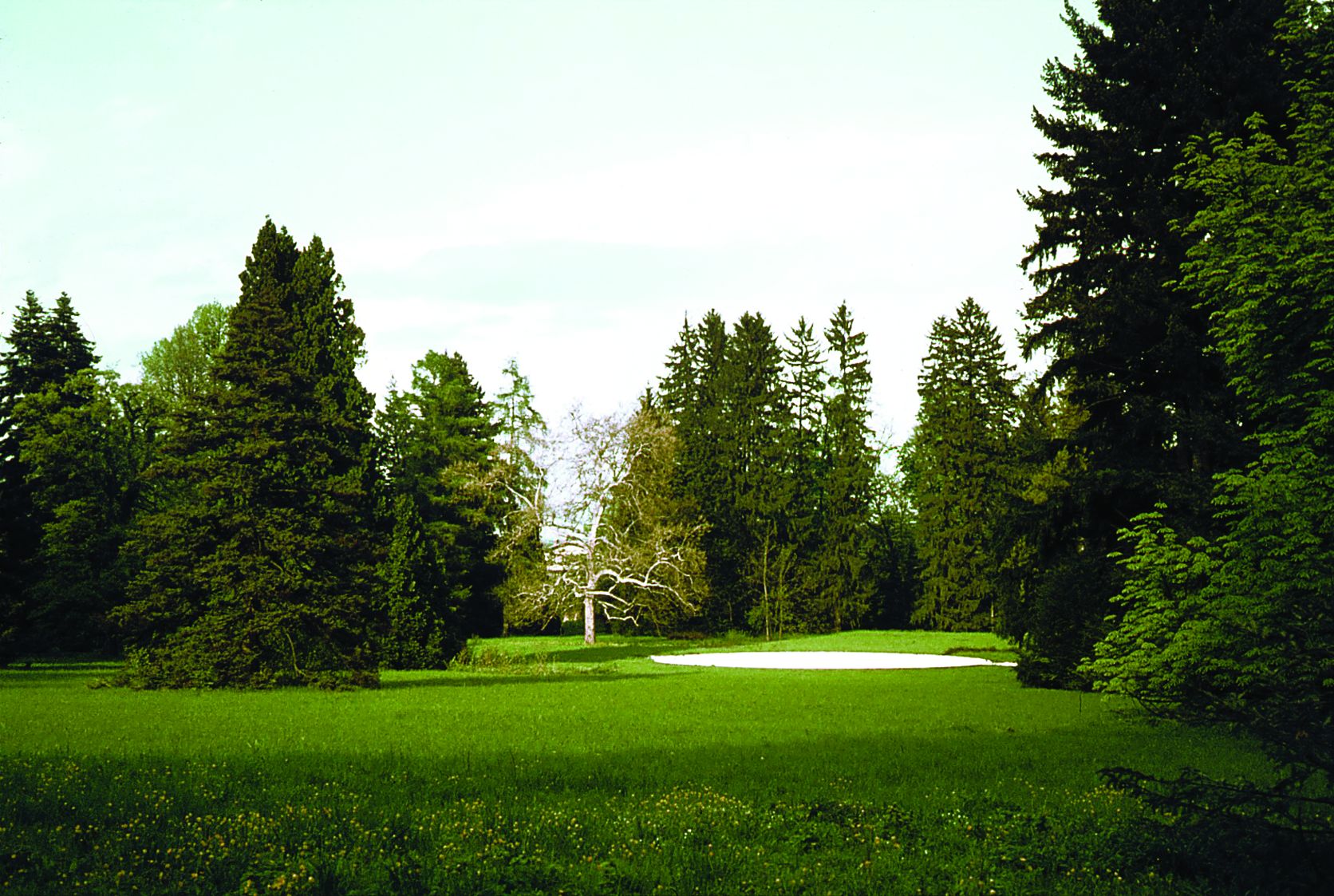 <p>arboretum Opeka</p>