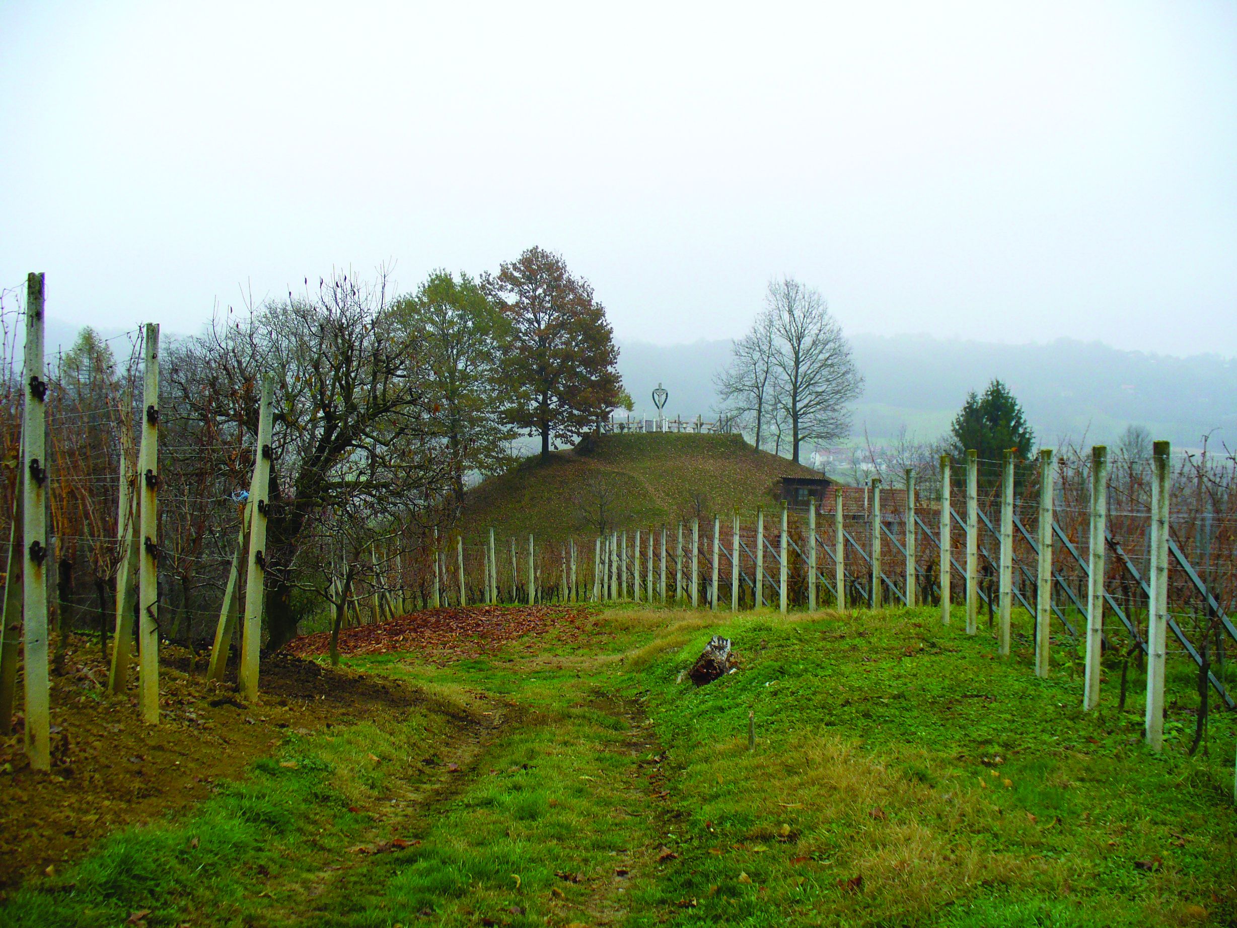 <p>gradina &Scaron;ipron</p>