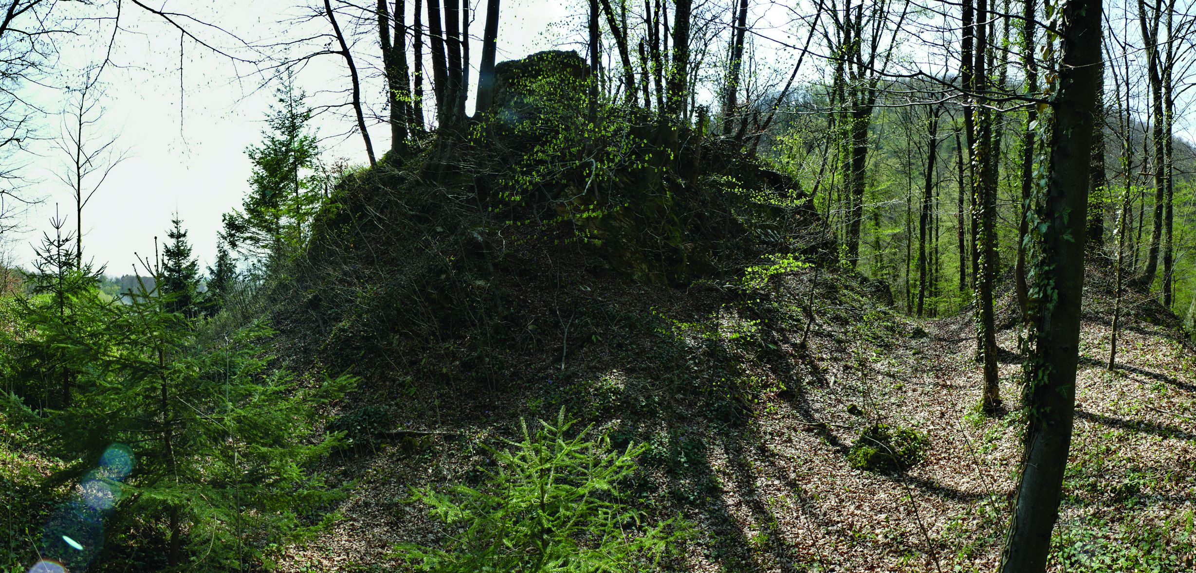 <p>ostatci utvrde</p>