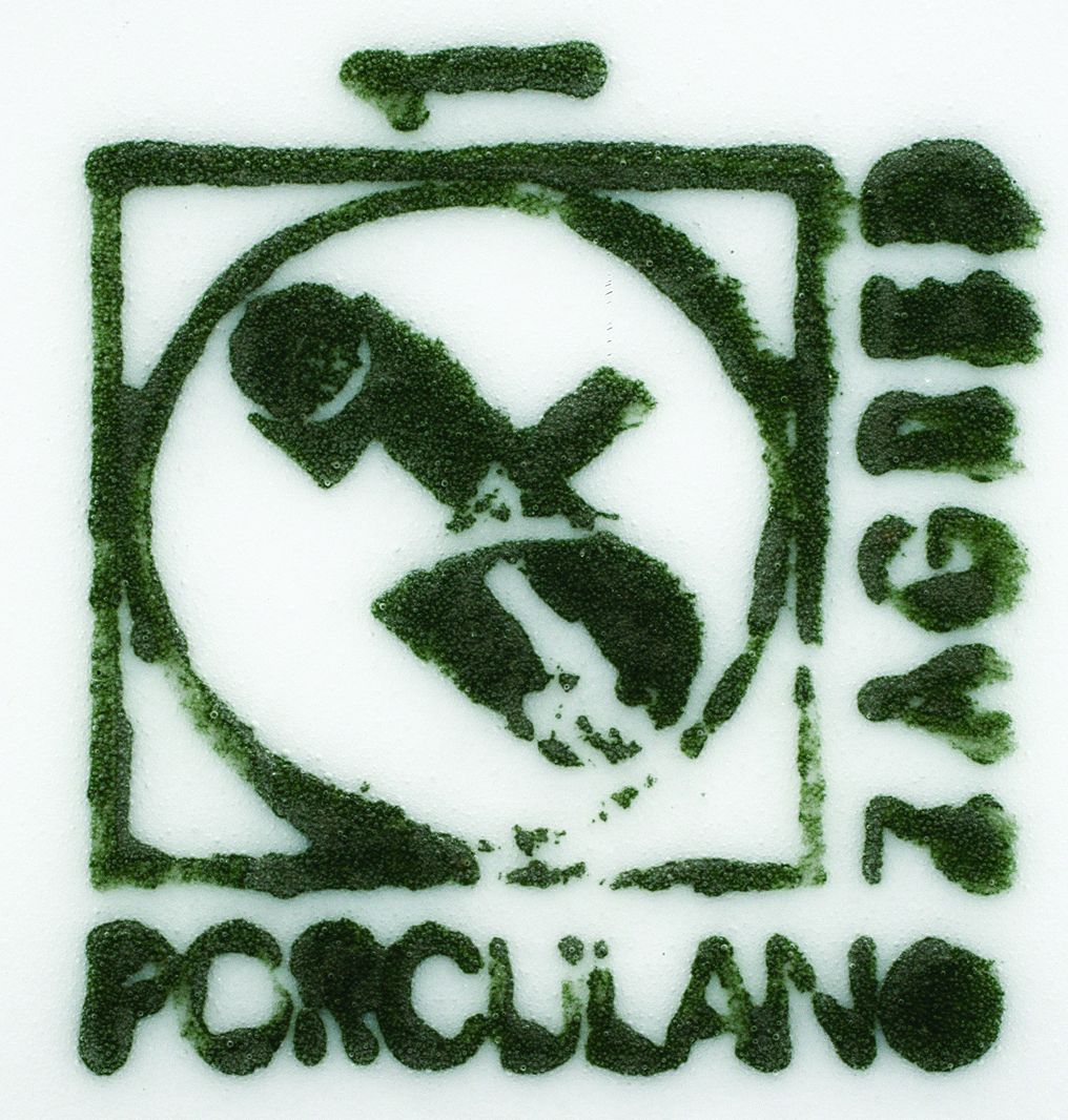 <p>logo, 1978&ndash;90.</p>