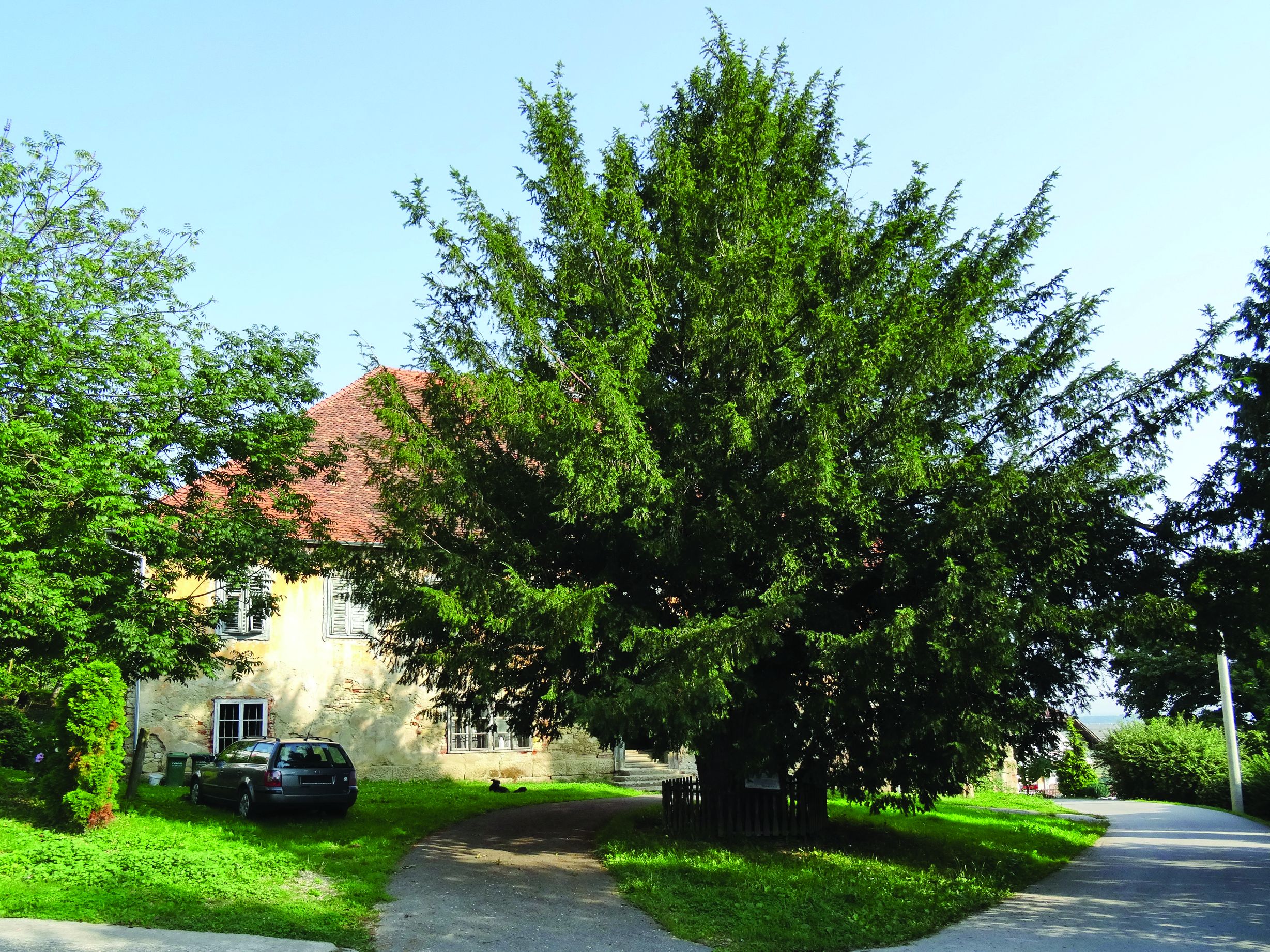 <p>tisa kraj kurije</p>