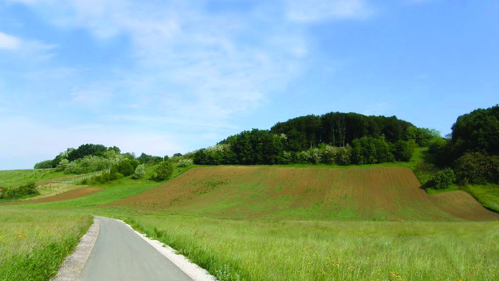 <p>krajolik sjevernoga dijela Općine</p>