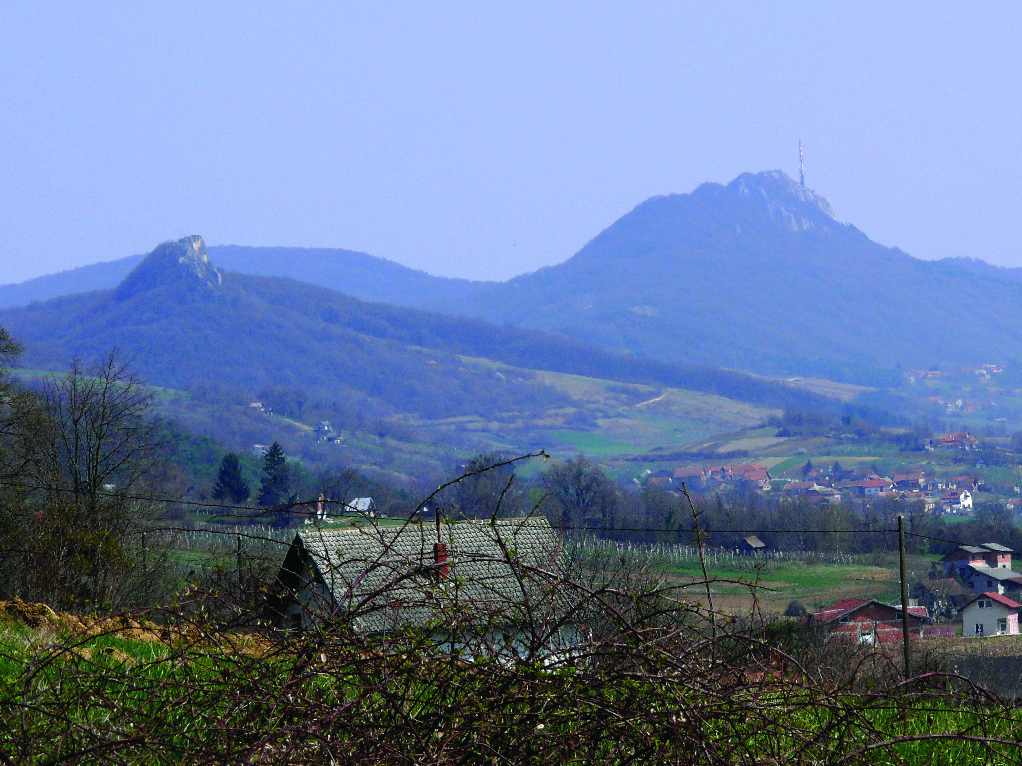 Kalnik (Kalnička gora)