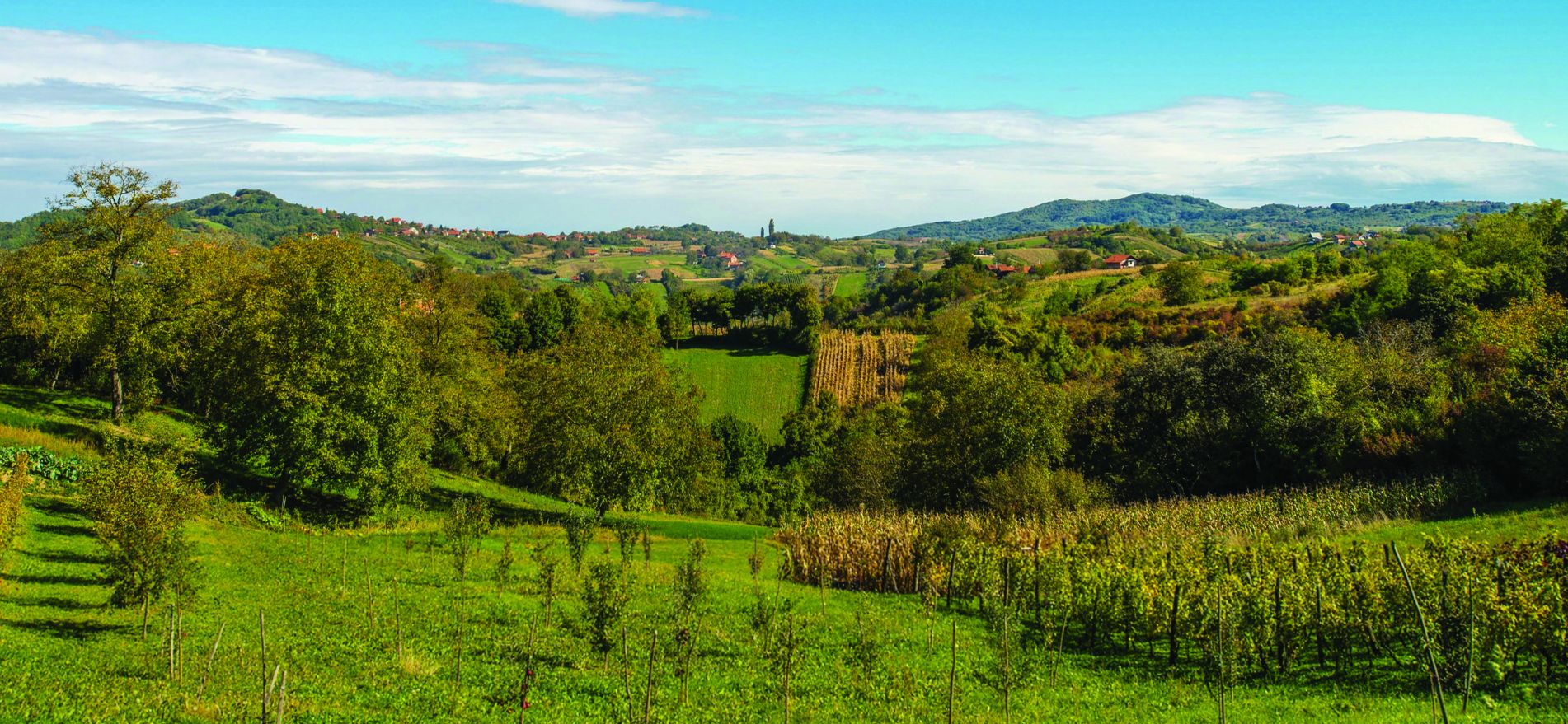 Slani Potok (naselje)