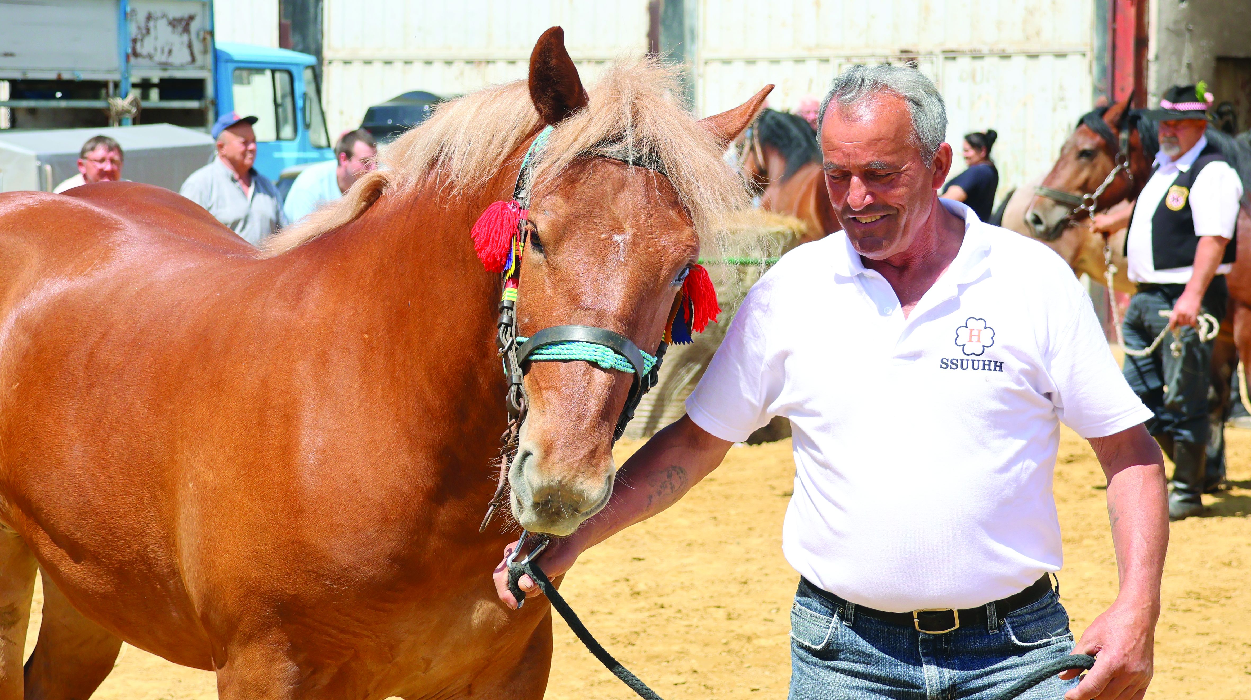 Izložba stoke i konja