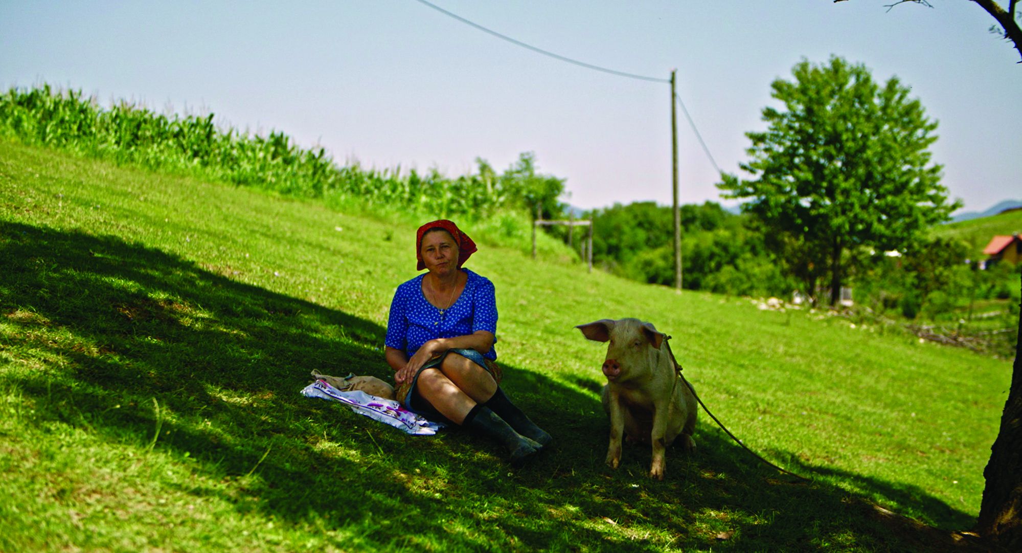 <p>kadar iz filma <em>Nosila je rubac črleni,</em> 2022.</p>